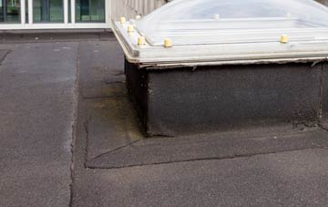 disadvantages of Woolland flat roofs