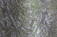 Woolland fibreglass roof work